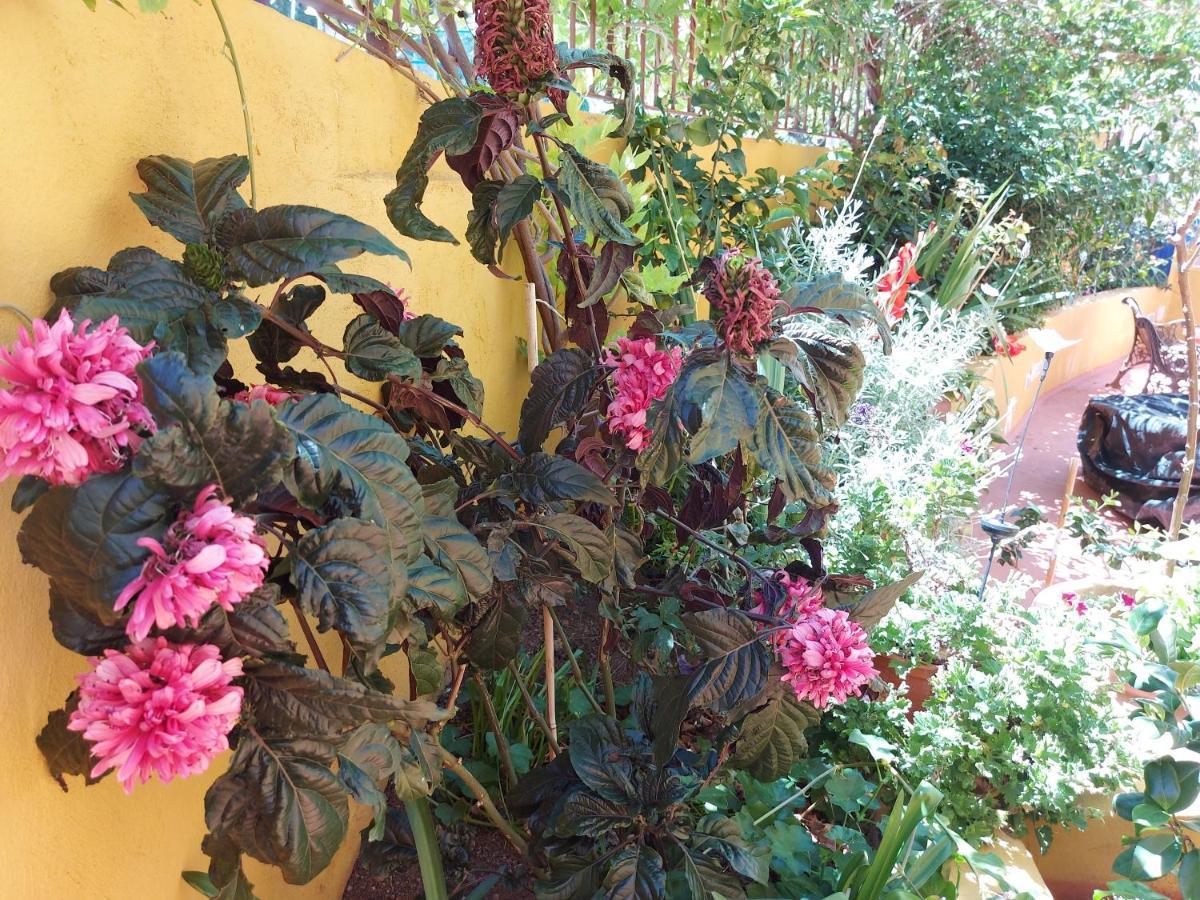 Casa Maestro Lelo - Acogedora Casa Rural Canaria Con Patios Y Jardines De Flores Las Palmas de Gran Canaria Exterior foto