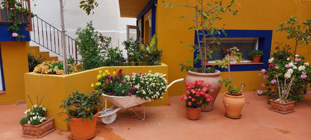 Casa Maestro Lelo - Acogedora Casa Rural Canaria Con Patios Y Jardines De Flores Las Palmas de Gran Canaria Exterior foto