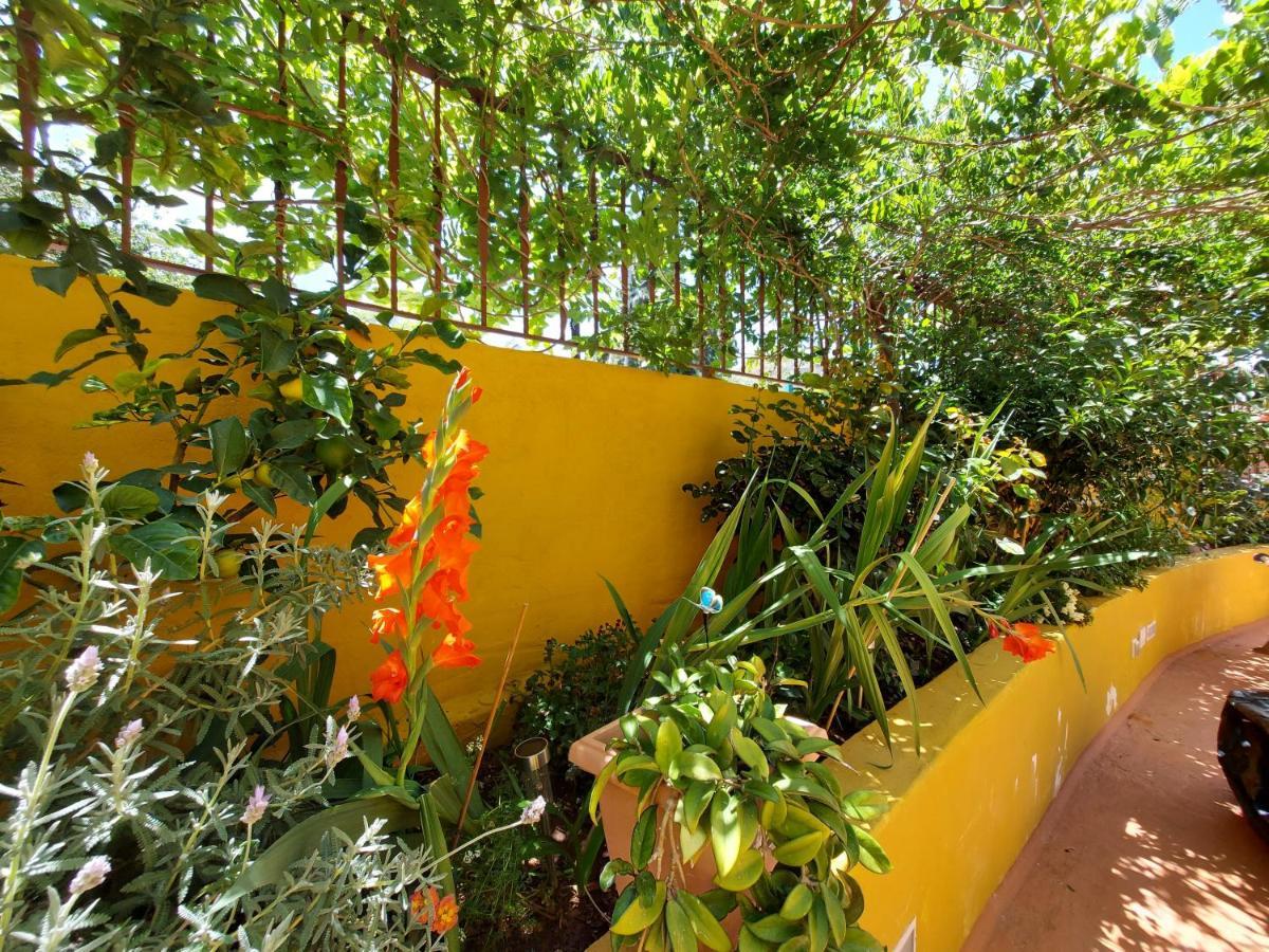 Casa Maestro Lelo - Acogedora Casa Rural Canaria Con Patios Y Jardines De Flores Las Palmas de Gran Canaria Exterior foto